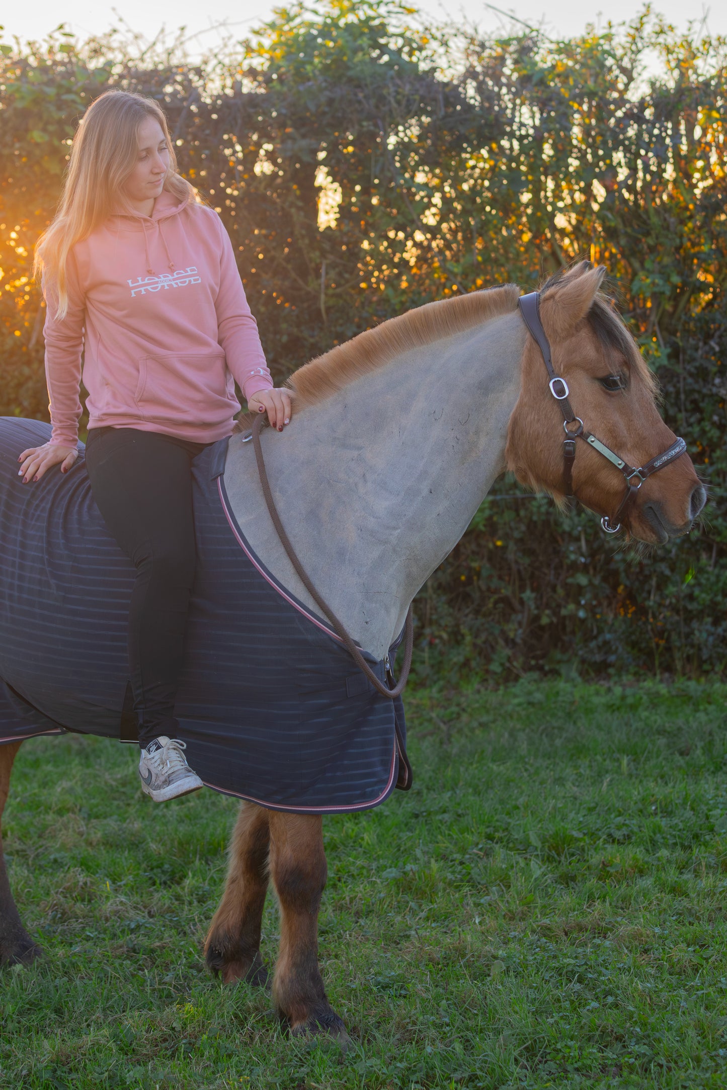 Hoodie Horse Addict